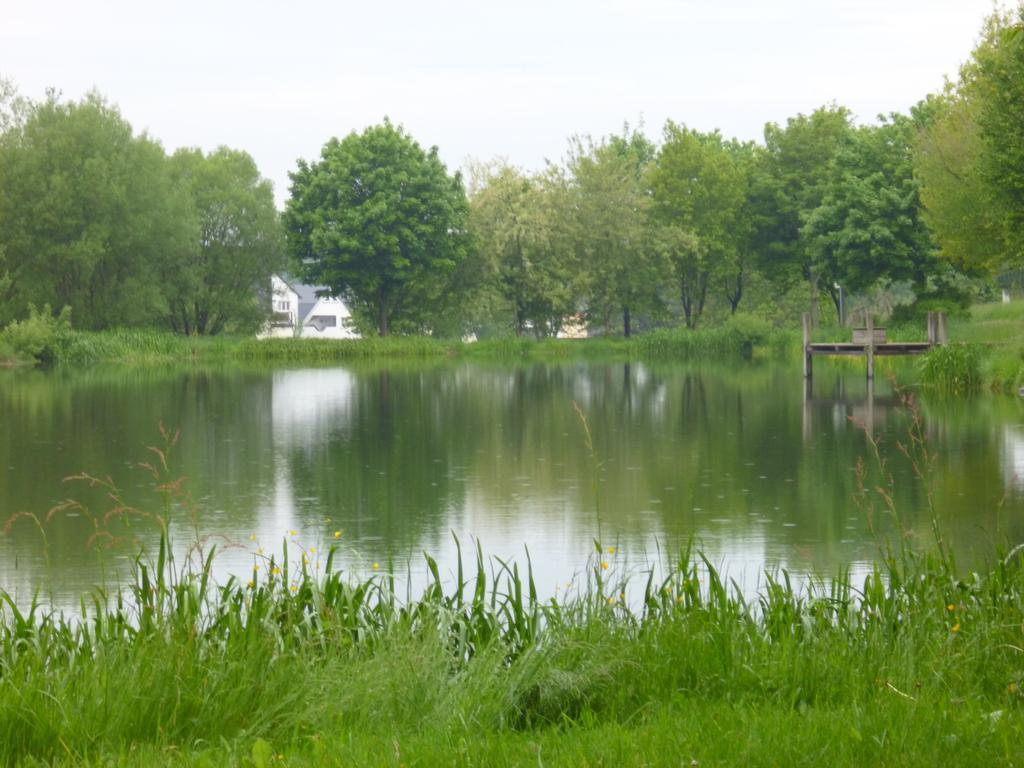 Apartament Haus Wendling Blankenrath Pokój zdjęcie